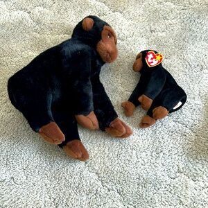 Ty beanie babies. Congo the gorilla. Both baby sized &buddy sized.Sold together